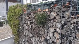PARED RELLENA DE TRONQUITOS Y COPOS DE PINO ESTILO  JARIDNERAS PARA PLANTAS