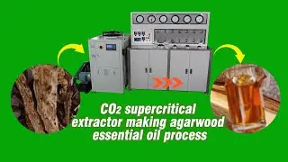 CO2 supercritical extractor making agarwood essential oil process #shorts