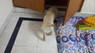 Checking out the new place
