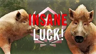 *GREAT ONE* Wild Boar Is Already Mine!! Only 181 Kills! | theHunter: Call of the Wild