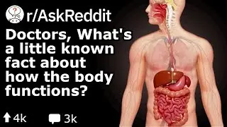 Medical Facts That Nobody Knows About?! (Reddit Doctor Stories r/AskReddit)