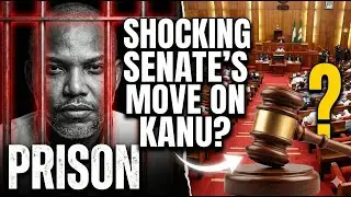 SENATE DECLARED KANU INNOCENT🙏? FREEDOM CRAWLS AS TOP IGBO LEADERS TAKES MAJOR STEP TO FREE MNK