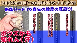 【8尺段底】今年の春は寒すぎないか！？マルキュー【段底・粒戦・力玉ハードⅡ】で段差の底釣り、2024年3月下旬（第3週）下条川ダムでのヘラブナ釣り