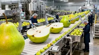 Inside a Pear Processing Factory: From Fresh Harvest to Golden Jam and Canned Halves (Full Process)