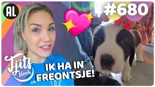 VERZOPEN KATTEN (zielig) // Tjits Vlog #680
