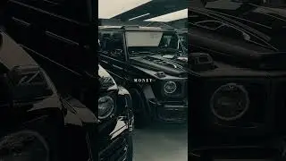 Luxury clips in BIO ✨🔗
