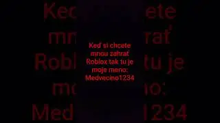 Moje meno v Robloxu