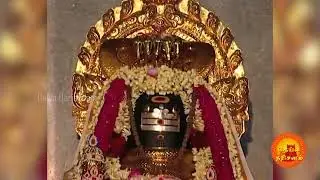நாகதோஷம் மற்றும் ராகு கேது தோஷ பரிகார திருத்தலம்! பேரையூர் நாகநாதசுவாமி கோவில் | Peraiyur Temple