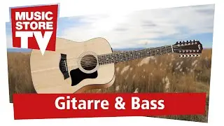 Taylor 150e 12-String Guitar Test + Demo (deutsch)