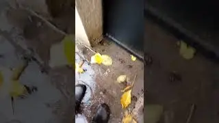 98u20251012 083109