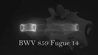 BWV 859 Fugue 14 Well Tempered Clavier First Book from Sad fis minor to Happy Fis major