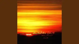 Awaken Love