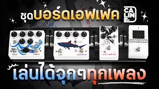 เอฟเฟคก้อน 𝘾𝙖𝙡𝙞𝙣𝙚 จัดบอร์ดก้อนขาวล้วน แบบครบๆ เล่นได้ทุกเพลง ราคาประหยัด