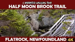 Flatrock, Newfoundland | Half Moon Brook Bridge & Waterfall 🌲💧4K Walk