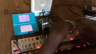 Bastl Dude and the Volcas