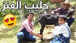 فطور في المزرعة من حليب العنز🐐