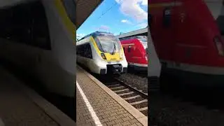 RB (SWEG Hamsterbacke (Talent)) und S-Bahn (BR 430) KOMPLETT SYNCHRON in Ludwigsburg ein Gefahren!
