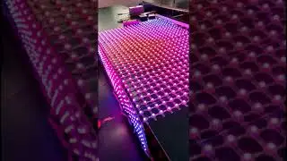 LED Mesh Curtain P50mm