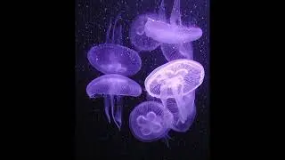 [free] redda x darko x lovemusic type beat 