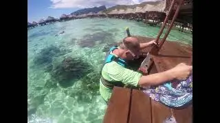 Ellie's Highlights of Moorea 2021