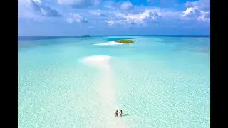 Financial Freedom Lifestyle