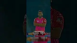 Excellent Wicket by Rumman Raees🥰#shorts