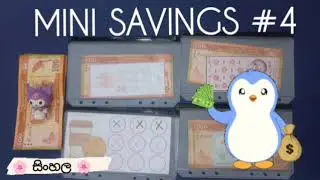 💸  Mini Savings #4  💸  | 🩷 සිංහල 🩷 | #Crazy Shopper