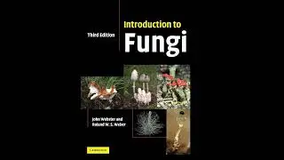 Hymenoascomycetes: Pyrenomycetes | Chapter 12 - Introduction to Fungi