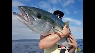 Kingfish Charters with Epic Adventures