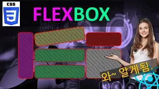 CSS flex box 완벽 이해