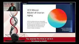 Mitochondria as Epigenetic Regulators of Reprodcutive Aging