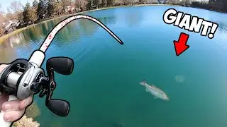 Catching GIANT bass on ULTRA LIGHT TACKLE!!! (CRAZY)