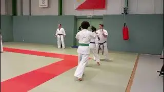 Polizei sportverein Bremen Germany shihan Abbas fattahian kyokushin karate