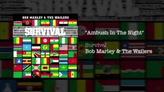 Ambush In The Night (1979) - Bob Marley & The Wailers