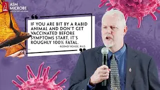Bat Rabies: What To Know Before and After Being Bitten!