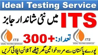 Ideal Testing Service ITS Jobs in Pakistan 2021 | New Govt Jobs 2021