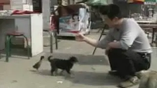 true animal friendship