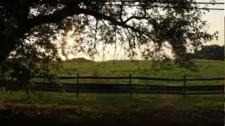 Nature Montage - Pennypack Ecological Restoration Trust