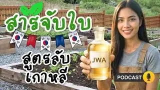 สารจับใบขั้นเทพ สูตรลับ JWA! 🌱 พืชงามขึ้นผิดหูผิดตา ต้นทุนหลักสิบ!