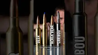 What Is a Caliber? Bullet Sizes Explained #shorts #caliber #bulletsizesexplained