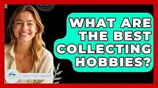 What Are The Best Collecting Hobbies? - Stress Free Mindset