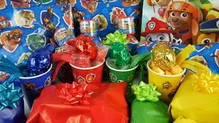 Best Learning Colors Letters Video To Teach Preschool Children Baby at the Paw Patrol Birthday Party