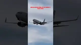 American Airlines Boeing 737-800 landing at Dallas (DFW)!