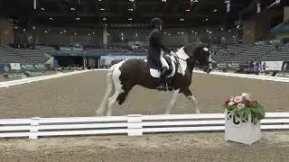 Friesian Sporthorse Adiah HP pranced to a 2022 U.S. Dressage Finals win with Ashley Maul!
