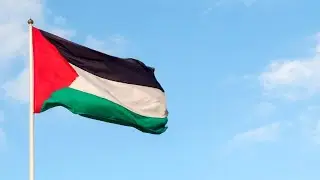 'Unclear what type' of visas are being given to over 800 Palestinians entering Australia