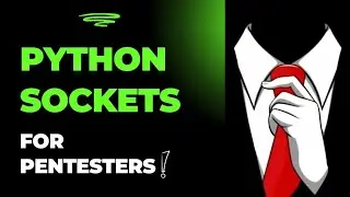 Python Socket Programming for Pentesters: Create TCP Connections & Reverse Shells