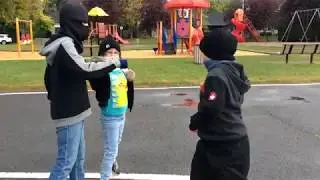 Les vengeurs