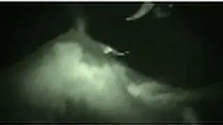 Caught on Camera | National Geographic