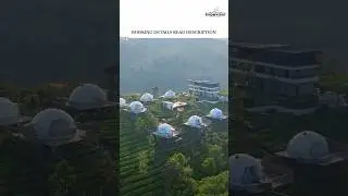 Unique Dome Stay - Middle of Tea Estate 🍃- Vagamon Resorts - Kerala - #shorts #travel #vagamon