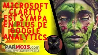 Microsoft Clarity est sympa en plus de Google Analytics